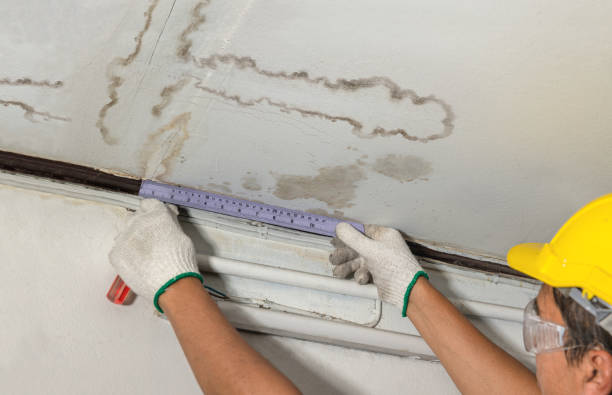 Reliable Mold Remediation contractor in Mountainside, NJ by Water Damage Irwin